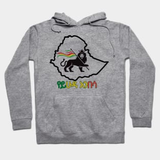 The Lion Of  Judah Hoodie